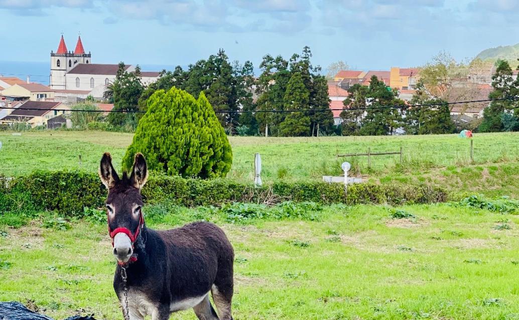 Quinta Do Avo Dimas - Rural Home - Sao Bras Porto Formoso Ngoại thất bức ảnh