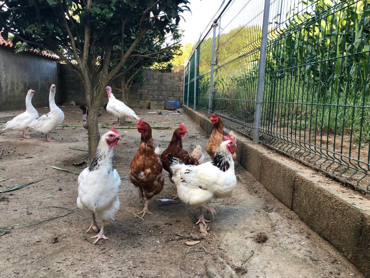 Quinta Do Avo Dimas - Rural Home - Sao Bras Porto Formoso Ngoại thất bức ảnh