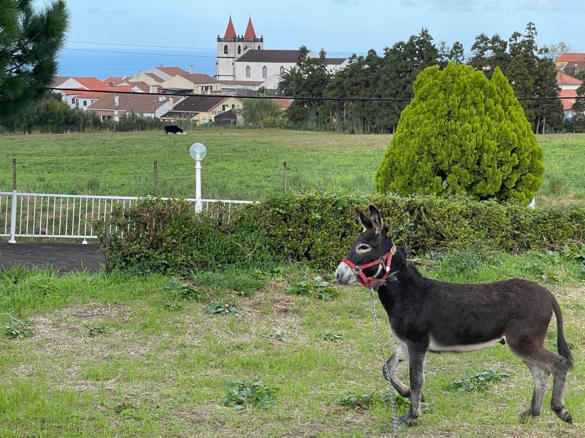 Quinta Do Avo Dimas - Rural Home - Sao Bras Porto Formoso Ngoại thất bức ảnh